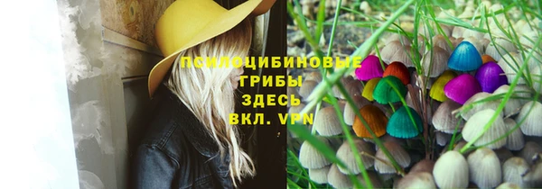 марки nbome Богородицк