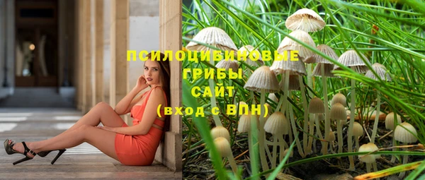 крисы Богданович