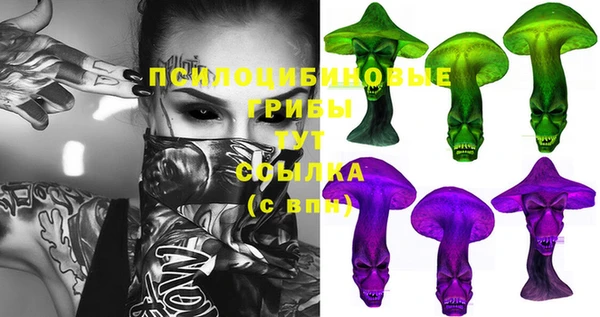 крисы Богданович