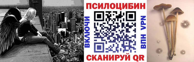 Галлюциногенные грибы MAGIC MUSHROOMS  кракен вход  Вологда 