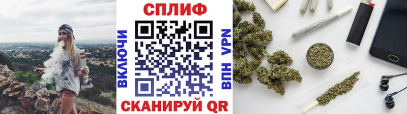 наркотики  Вологда  Конопля Amnesia 